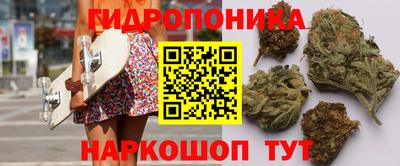 бошки Новозыбков